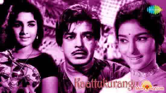 Poster of Kattu Kurangu (1968)